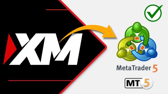 How to Create and Link XM Broker Account to MetaTrader 5