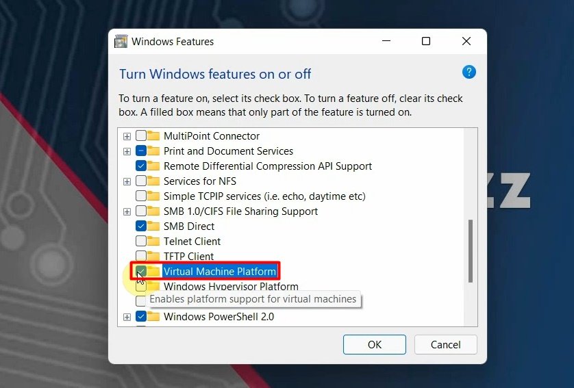 Install Google Play Store in Windows 11a