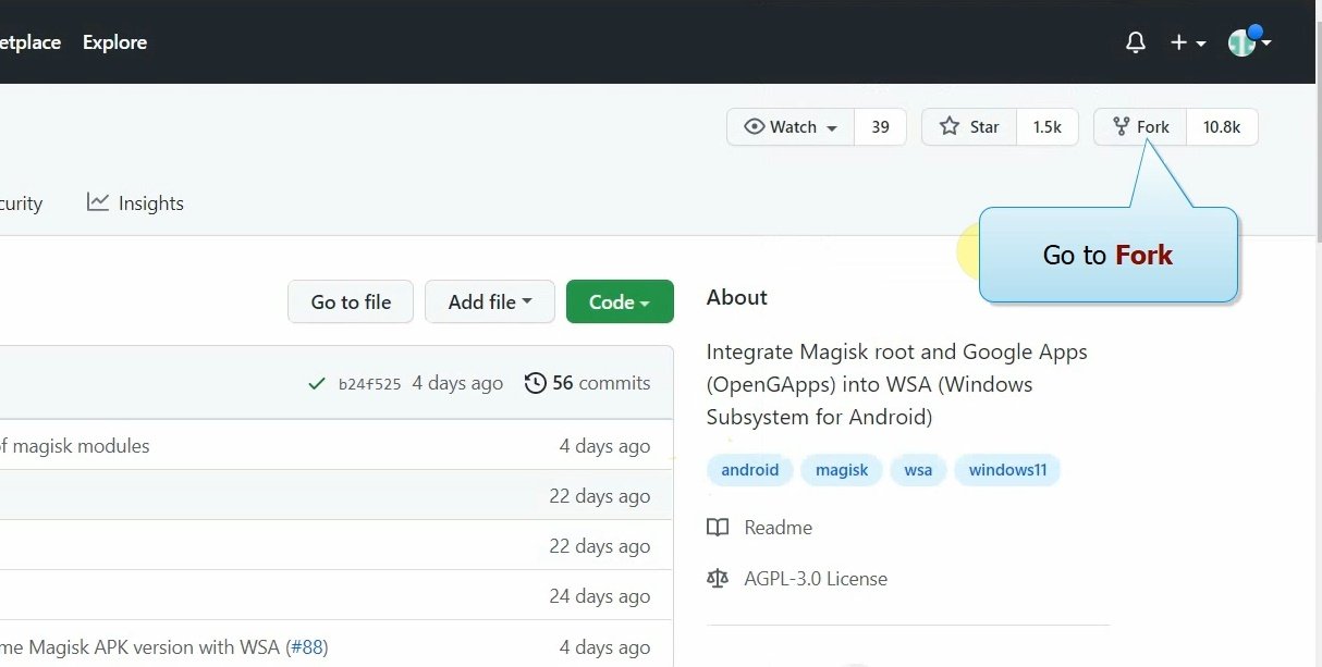 Install Google Play Store in Windows 11c