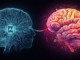 AI vs. Human Intelligence